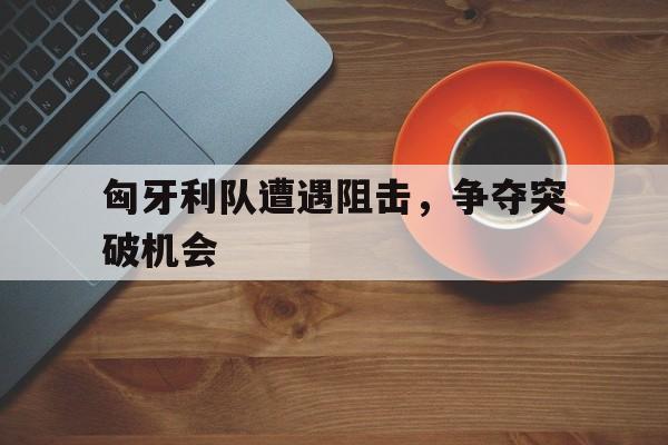 匈牙利队遭遇阻击，争夺突破机会的简单介绍